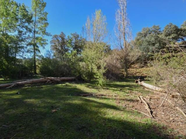 Terreno en venta en Beas de Guadix, Lugros