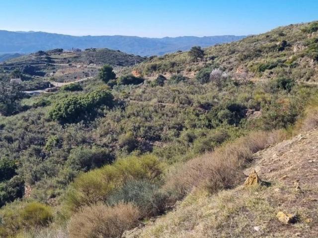 Terreno en Venta en Bédar