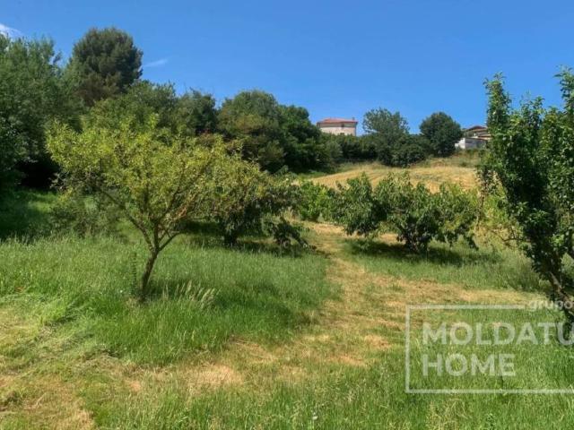 Terreno en Venta en Belascoáin