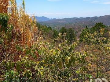 TERRENO EN VENTA EN BELEN NUEVO SAN GERON, TEOPISCA, CHIAPAS