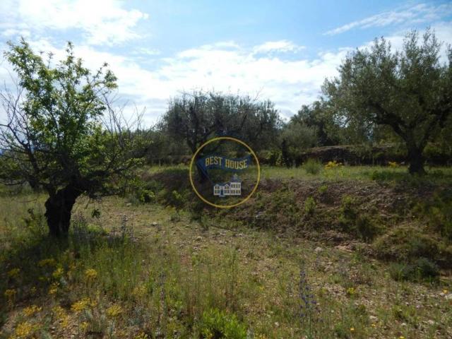Terreno en Venta en Bèlgida