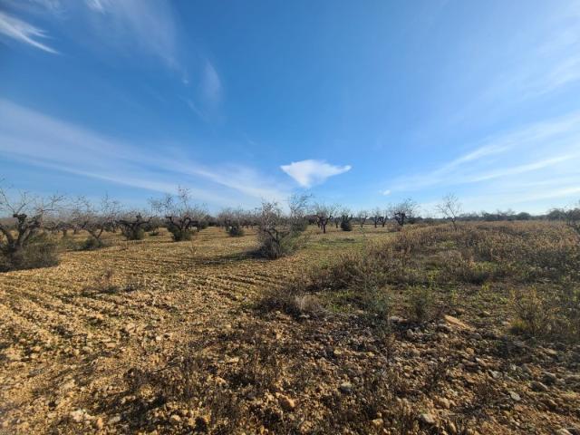Terreno en venta en Bellavista