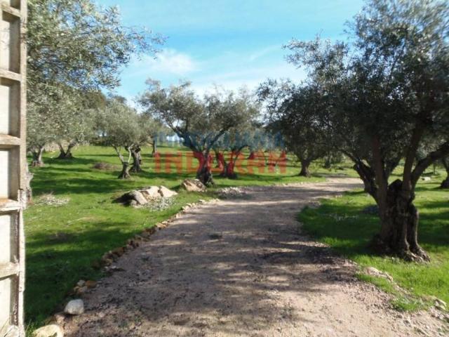 Terreno en Venta en Belvís de Monroy