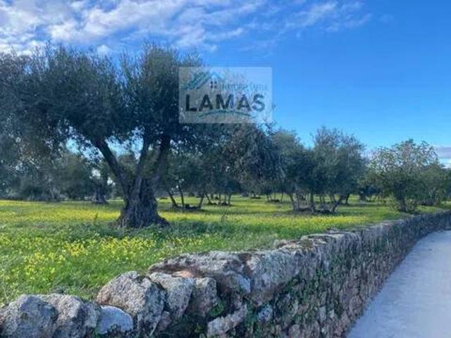Terreno en Venta en Belvís de Monroy