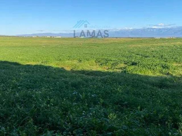 Terreno en Venta en Belvís de Monroy