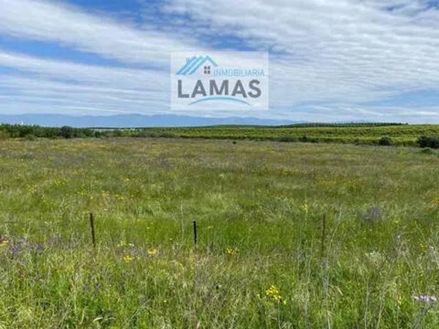 Terreno en Venta en Belvís de Monroy