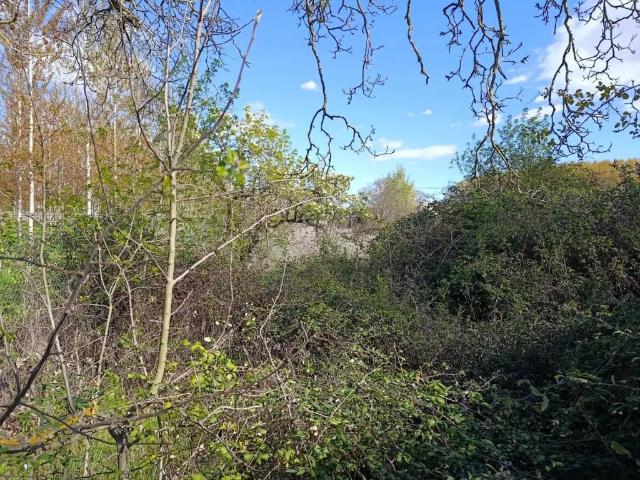 Terreno en Venta en Benavente