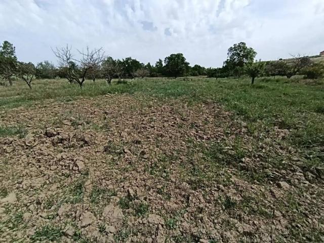 Terreno en Venta en Benavente
