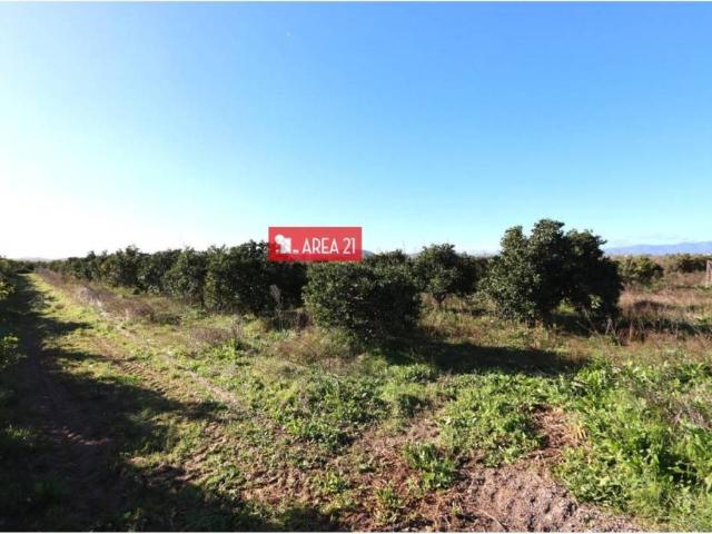 Terreno en Venta en Benaguasil