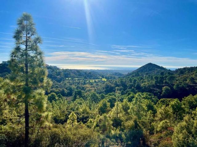 Terreno en Venta en Benahavís