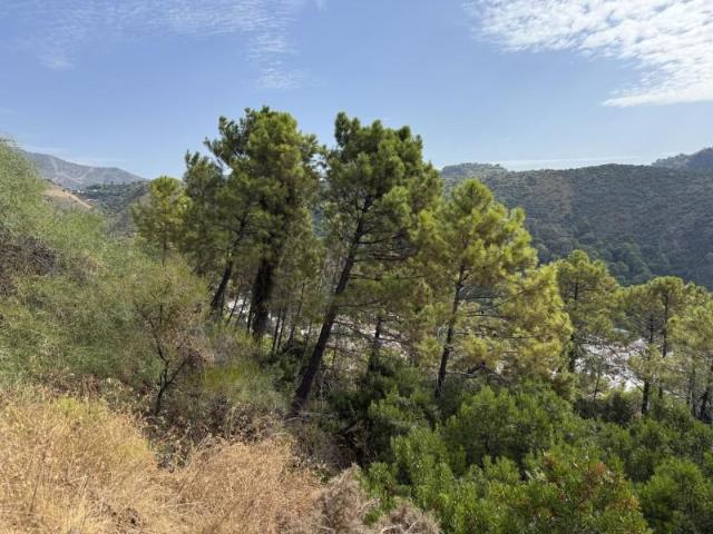 Terreno en venta en Benahavís, Benahavis Centro