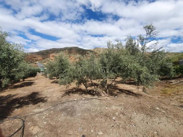Terreno en Venta en Benalúa
