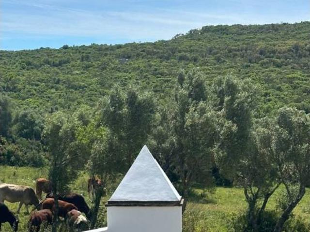 Terreno en Venta en Benalup Casas Viejas