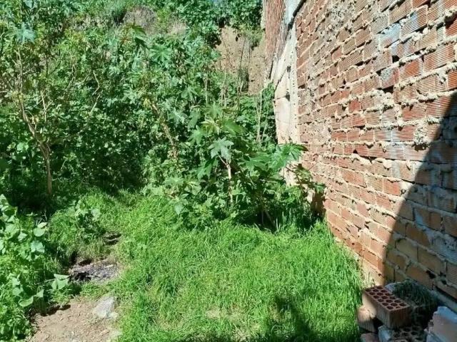 Terreno en Venta en Benamocarra
