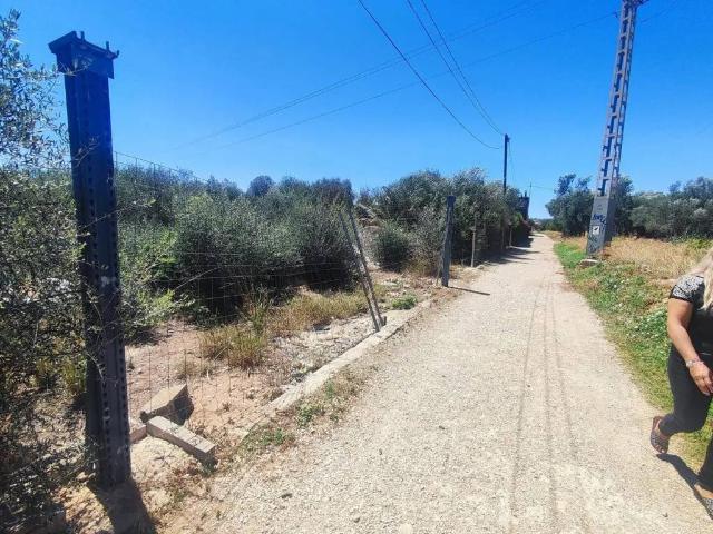 Terreno en Venta en Benicarló