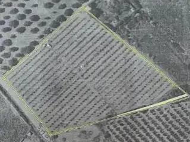 Terreno en Venta en Benicarló