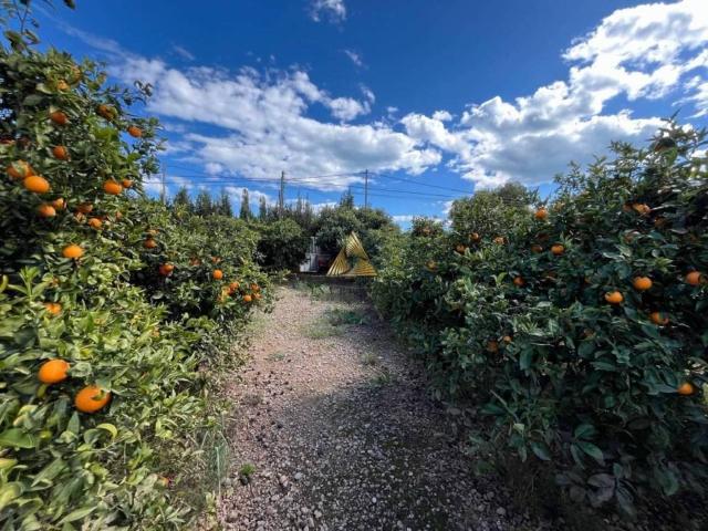 Terreno en Venta en Benicarló