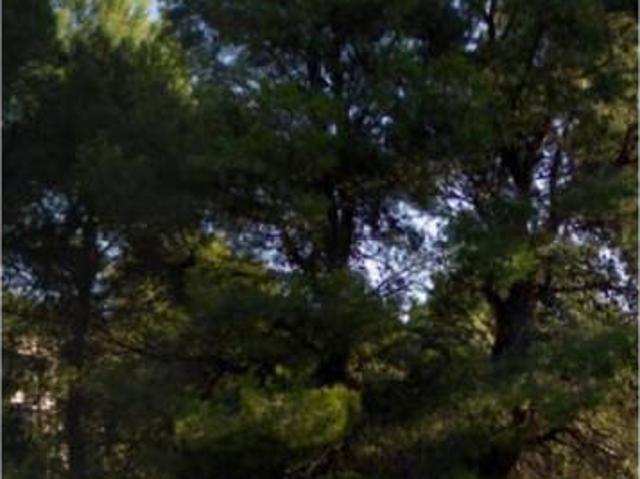 Terreno en Venta en Benicasim Benicàssim