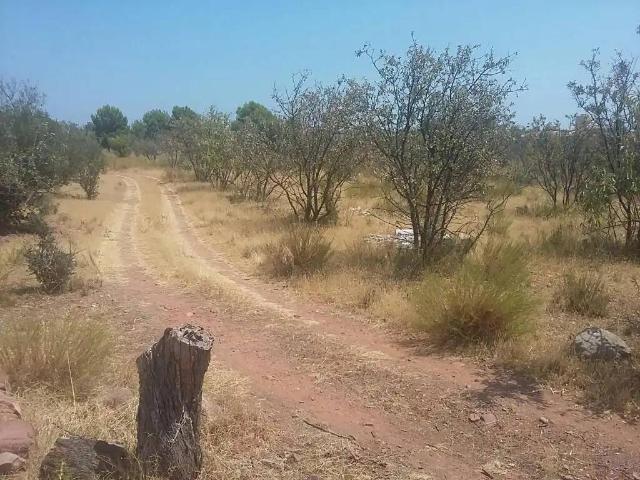 Terreno en Venta en Benicasim Benicàssim
