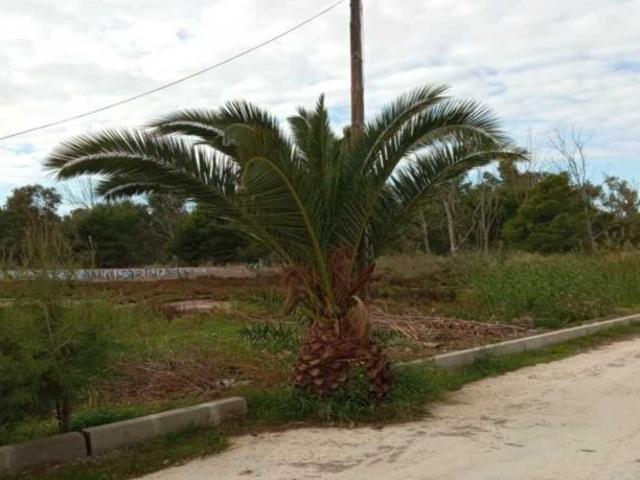 Terreno en venta en Benicasim/benicàssim