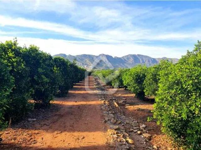 Terreno en Venta en Benidoleig