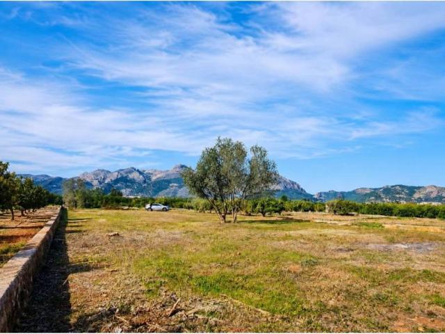 Terreno en Venta en Benidoleig