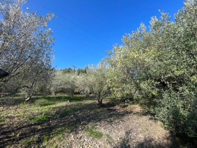 Terreno en Venta en Benifato