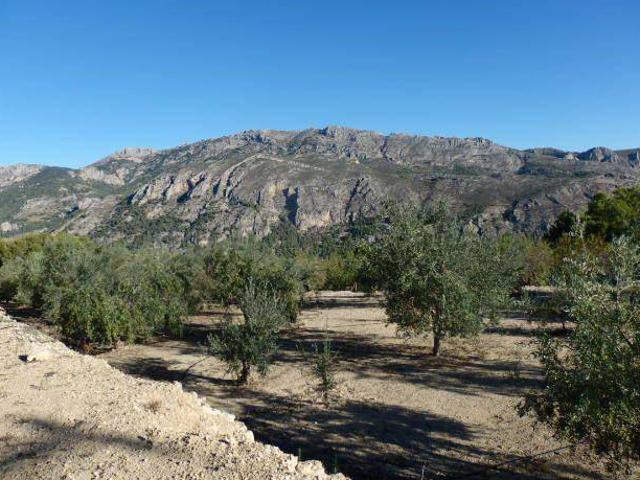 Terreno en Venta en Benifato