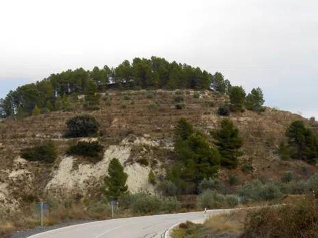 Terreno en Venta en Benilloba