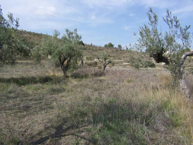Terreno en Venta en Benilloba