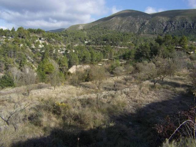 Terreno en Venta en Benillup