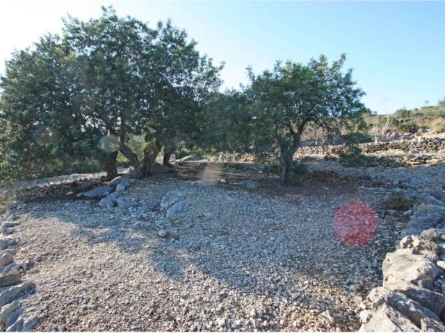 Terreno en Venta en Benimeli