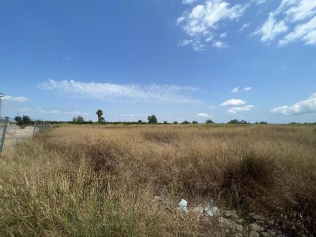 Terreno en venta en Benimuslem, Benimuslem