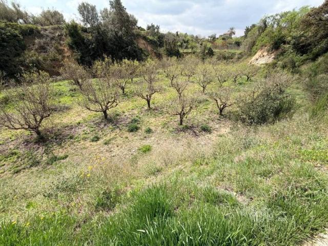 Terreno en Venta en Benissoda