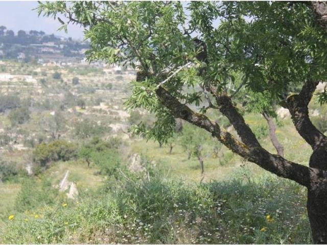 Terreno en Venta en Benissa