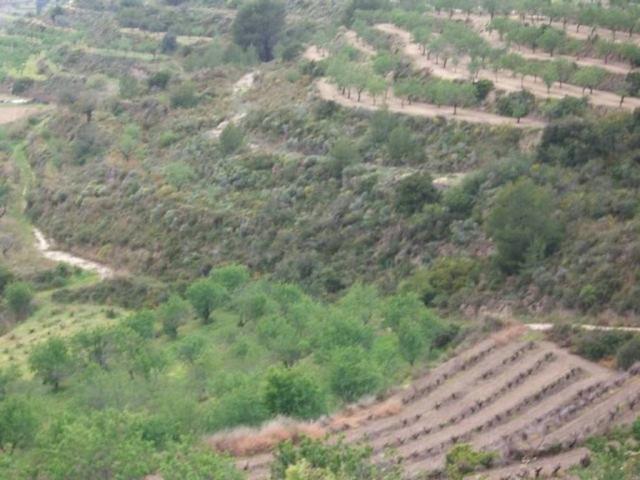 Terreno en Venta en Benissa