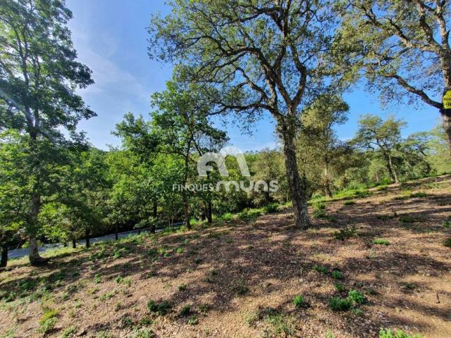 Terreno en Venta en Bescanó