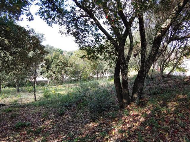 Terreno en venta en Bescanó, Bescano