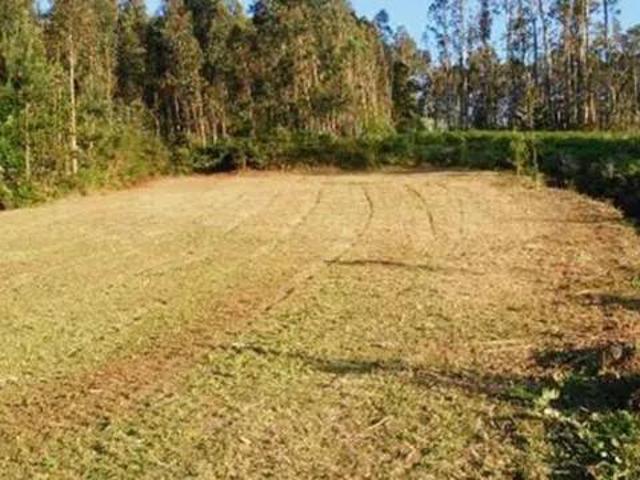 Terreno en Venta en Bergondo