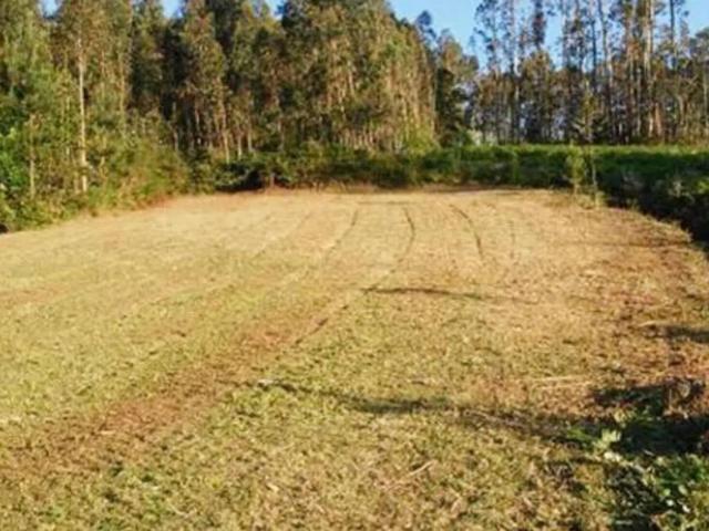 Terreno en Venta en Bergondo