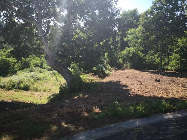 Terreno en Venta en Bergondo