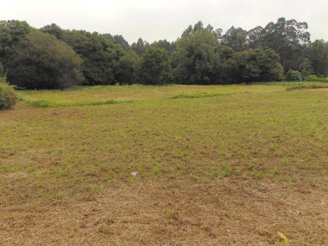 Terreno en Venta en Bergondo