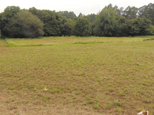 Terreno en Venta en Bergondo