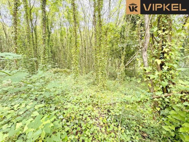 Terreno en Venta en Bergondo