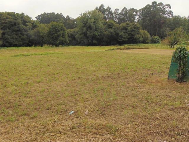 Terreno en Venta en Bergondo