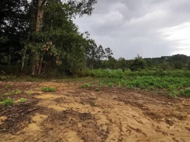 Terreno en Venta en Bergondo