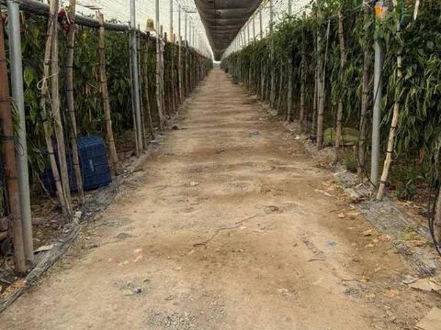Terreno en Venta en Berja