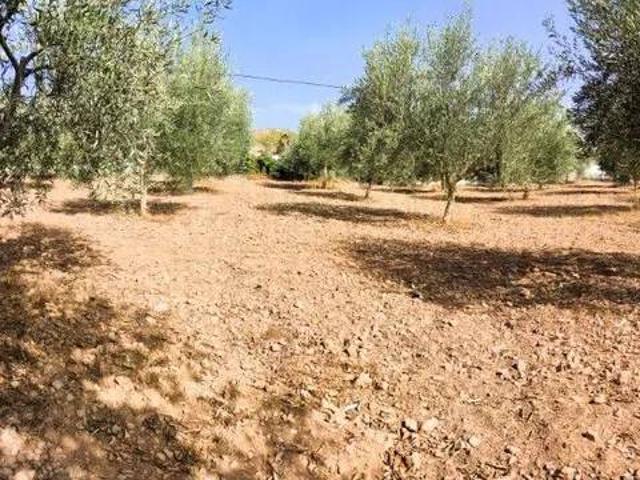 Terreno en Venta en Berja