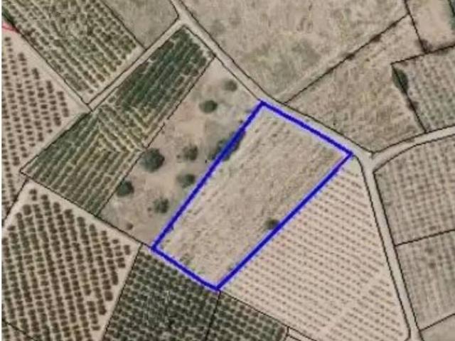 Terreno en Venta en Bétera