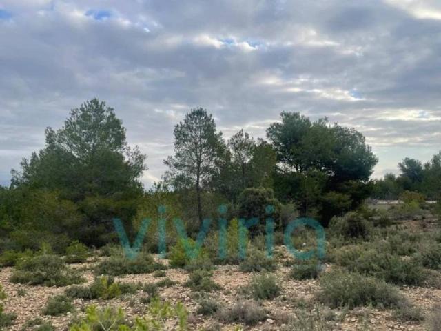 Terreno en Venta en Bétera
